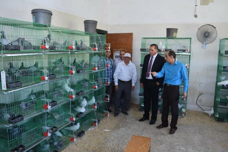 جامعة سوهاج تفتتح أول وحدة لإنتاج الحمام على مستوى الصعيد