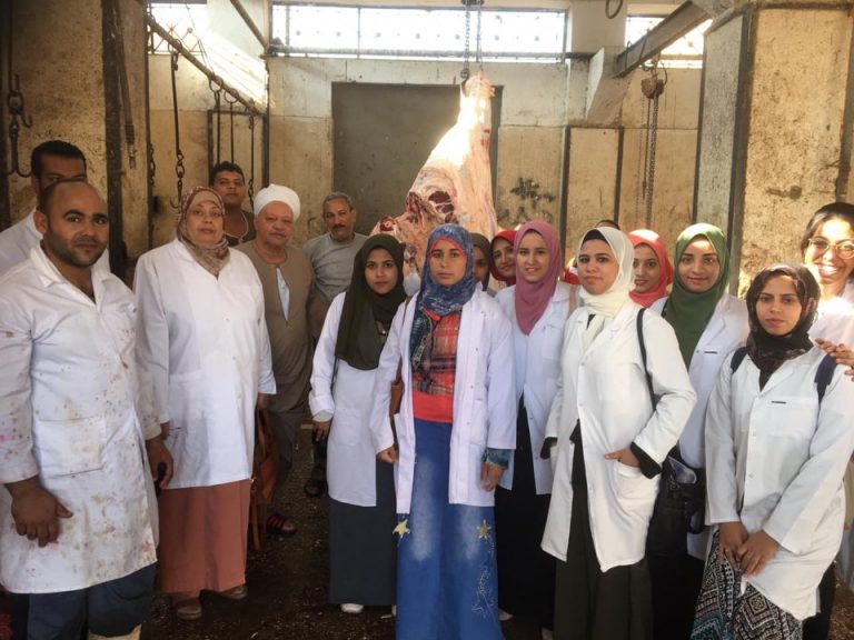 التدريب العملى لمادة الرقابة الصحية على اللحوم بقسم الرقابة الصحية على الأغذية بمجزر سوهاج العمومى