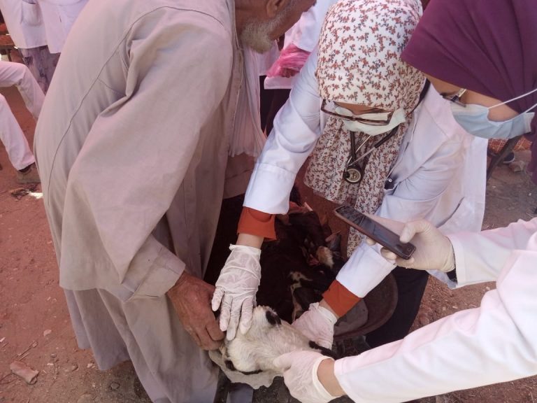 قافلة طبية بيطرية مجانية ضمن المبادرة الرئاسية حياة كريمة بقرية نزة الحاجر بمركز جهينة