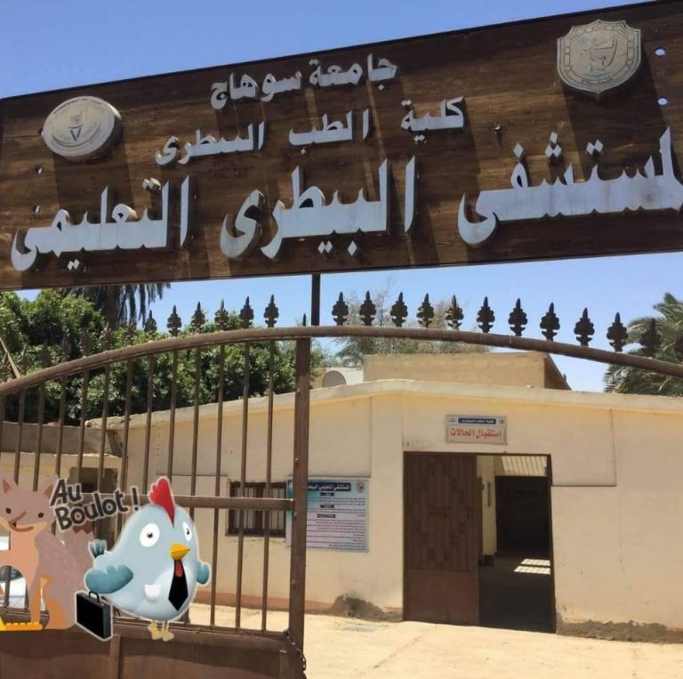 لقاء اعلامي حول دور قسم الجراحة في المستشفي البيطري التعليمي