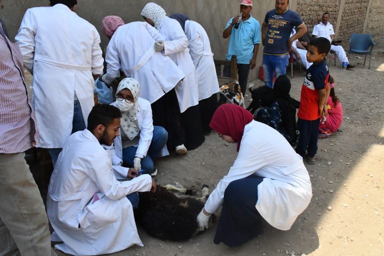 قافلة مجانية لقرية البطاخ مركز المراغة