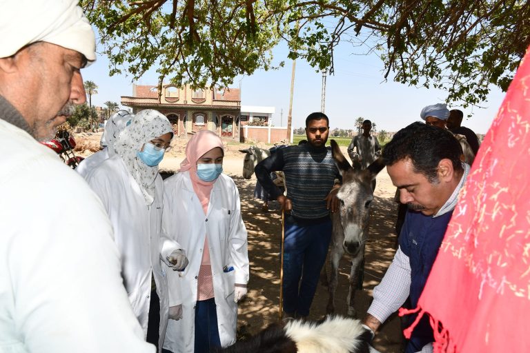 بيان التلفزيون بشأن سلسله قوافل كليه الطب البيطري بجامعه عن قافله مركز ساقلته بالقرامطه شرق