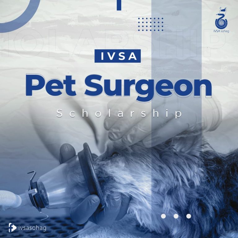 كورس الـ pet surgeon ( جراحة الحيوانات الأليفة )؛ تنظمه الجمعية العلمية