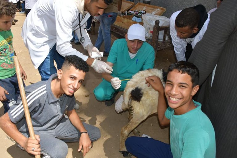 نظمت كليه الطب البيطري بجامعه سوهاج عن قافله مركز سوهاج بقريه الصلعا اليوم الثلاثاء بتاريخ 13/9/2022 قافله بيطرية تحت إشراف مبادرة حياة