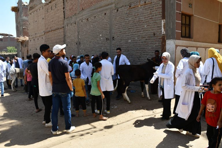 بيان التلفزيون بشأن سلسله قوافل كليه الطب البيطري بجامعه سوهاج عن قافله مركز اخميم بقرية آبار الملك