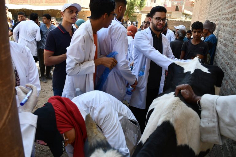كليه الطب البيطري بجامعه سوهاج عن قافله مركز جرجا بقرية