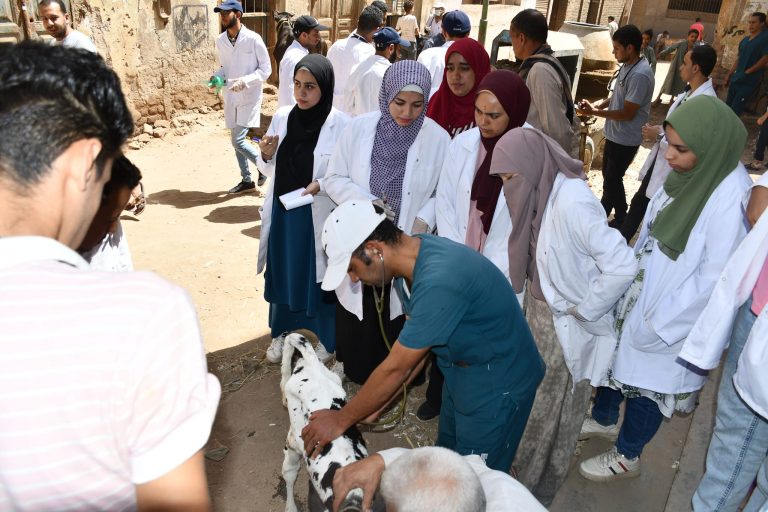 ظمت كليه الطب البيطري بجامعه سوهاج تحت مبادره حياه كريمه برعايه اليسد الرئيس عبدالفتاح السيسي رئيس
