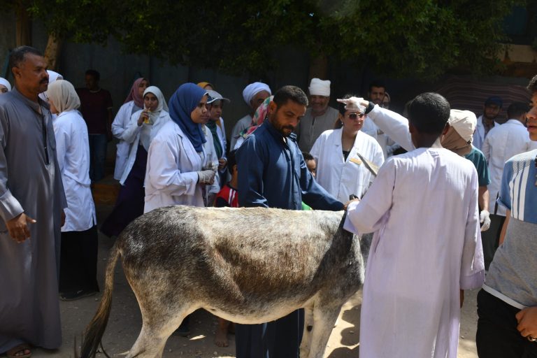 كلمه الدكتور عصام احمد أثناء المشاركة في سلسله قوافل كليه الطب البيطري بجامعه سوهاج عن قافله مركز البلينا بقريه اولاد عليوه