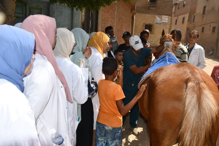 قافلة كلية الطب البيطرى بجامعة سوهاج بمركز سوهاج بقرية دمنو تحت