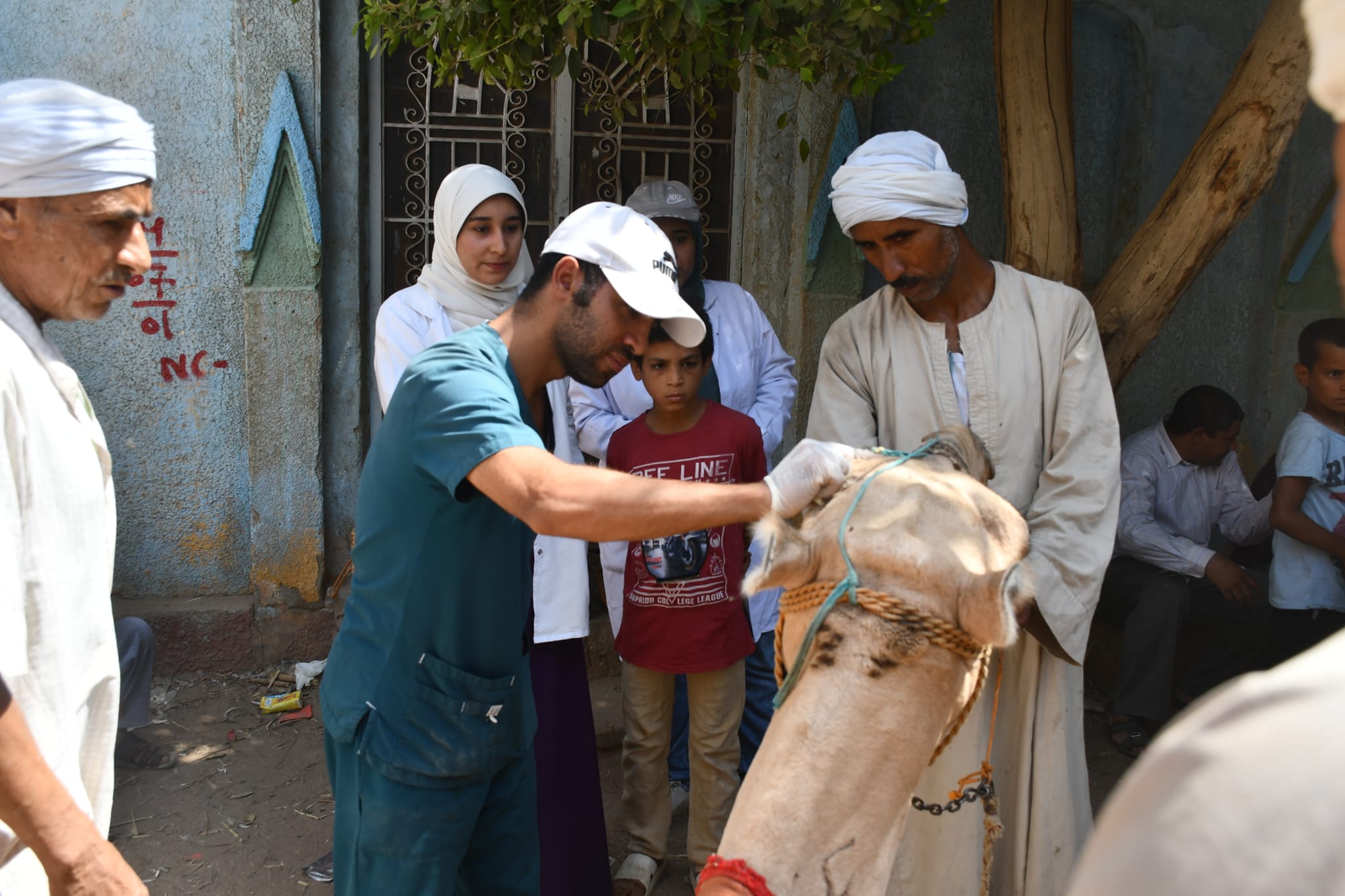 كلمه الدكتور أحمد امام احمد أثناء المشاركة في سلسله قوافل كليه الطب البيطري بجامعه سوهاج عن قافله مركز البلينا بقريه اولاد عليوه