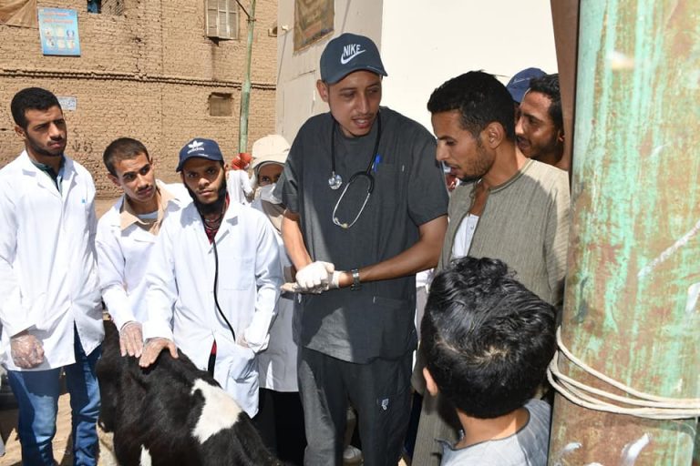 نظمت كليه الطب البيطري بجامعه سوهاج قافله بيطرية اليوم الخميس بقريه المحامده ب