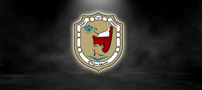 تفعيل برنامج تكنولوجيا كهرباء والكترونيات السكك الحديد (REET) بكلية التكنولوجيا والتعليم بجامعة سوهاج
