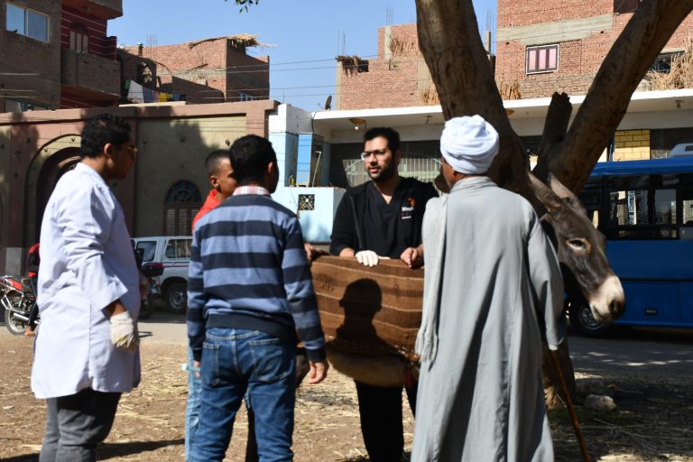 نظمت كليه الطب البيطري بجامعه سوهاج قافله بيطريه اليوم الاثنين موافق 12/12/2022 نجع مناع (بحياة كريمه)