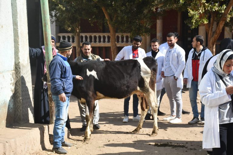 نظمت كليه الطب البيطري بجامعه سوهاج عن قافله مركز سوهاج بقريه تونس تحت إشراف الاستاذ الدكتور رئيس الجامعه والأستاذ الدكتور بهاء الدين