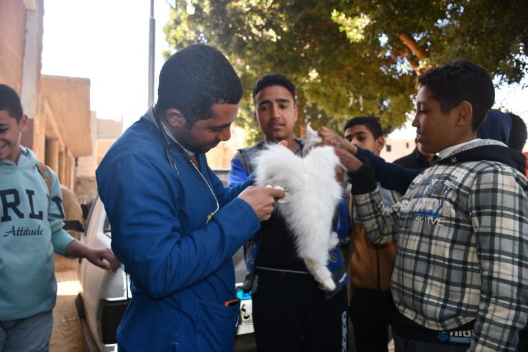 نظمت كليه الطب البيطري بجامعه سوهاج عن قافله مركز المراغه نجع طايع عن يوم الأحد بتاريخ 19/2/2023