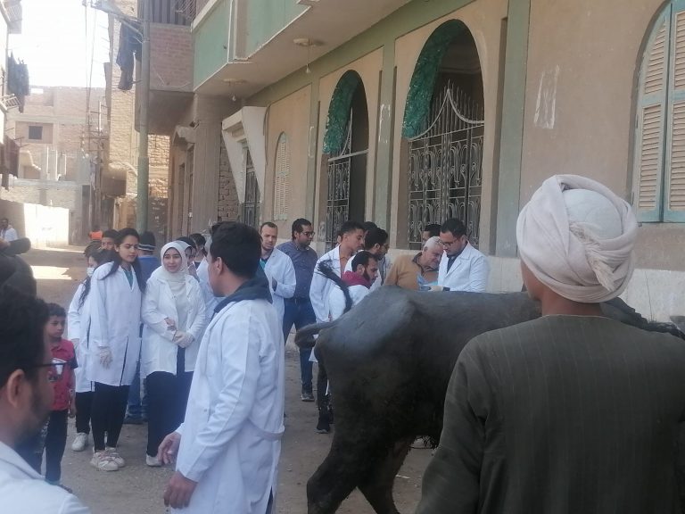 نظمت كليه الطب البيطري بجامعه سوهاج  قافله بيطرية اليوم الأحد بتاريخ 5/3/2023 بمركز سوهاج بجزيرة شندويل تحت إشراف الاستاذ الدكتور رئيس الجامعه
