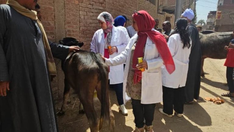 نظمت كلية الطب البيطري بجامعة سوهاج، قافلة بيطرية مجانية لعلاج الحيوانات والدواجن